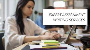 Best Assignment Writing Service in San Francisco
