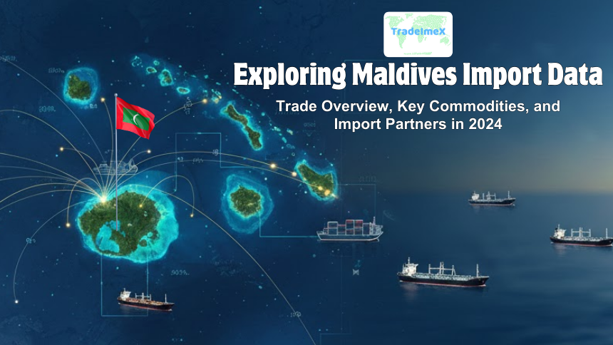 Exploring Maldives Import Data: Trade Overview, Key Commodities, and Import Partners in 2024