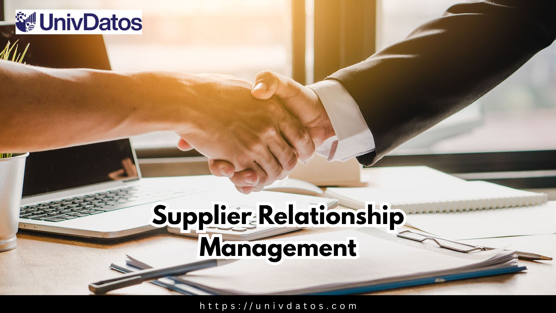 Supplier Relationship Management services