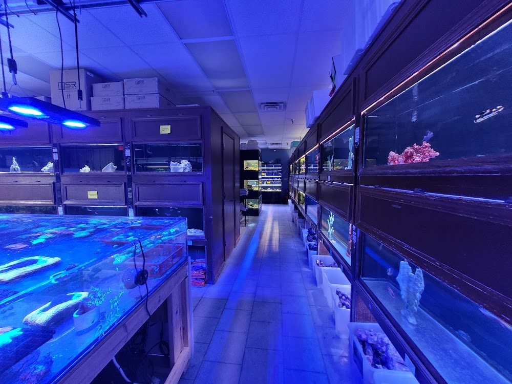 Saltwater aquarium fish store
