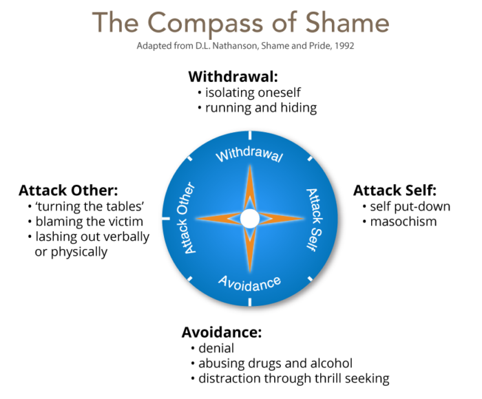 Compass of Shame: Racial Equity Challenges in Schools