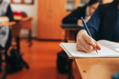 Expert Guidance for CMI Help UK and Understanding Team Dynamics